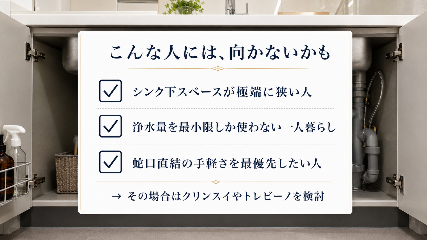 ラピュールが向かない人の条件を示すチェックリスト図解